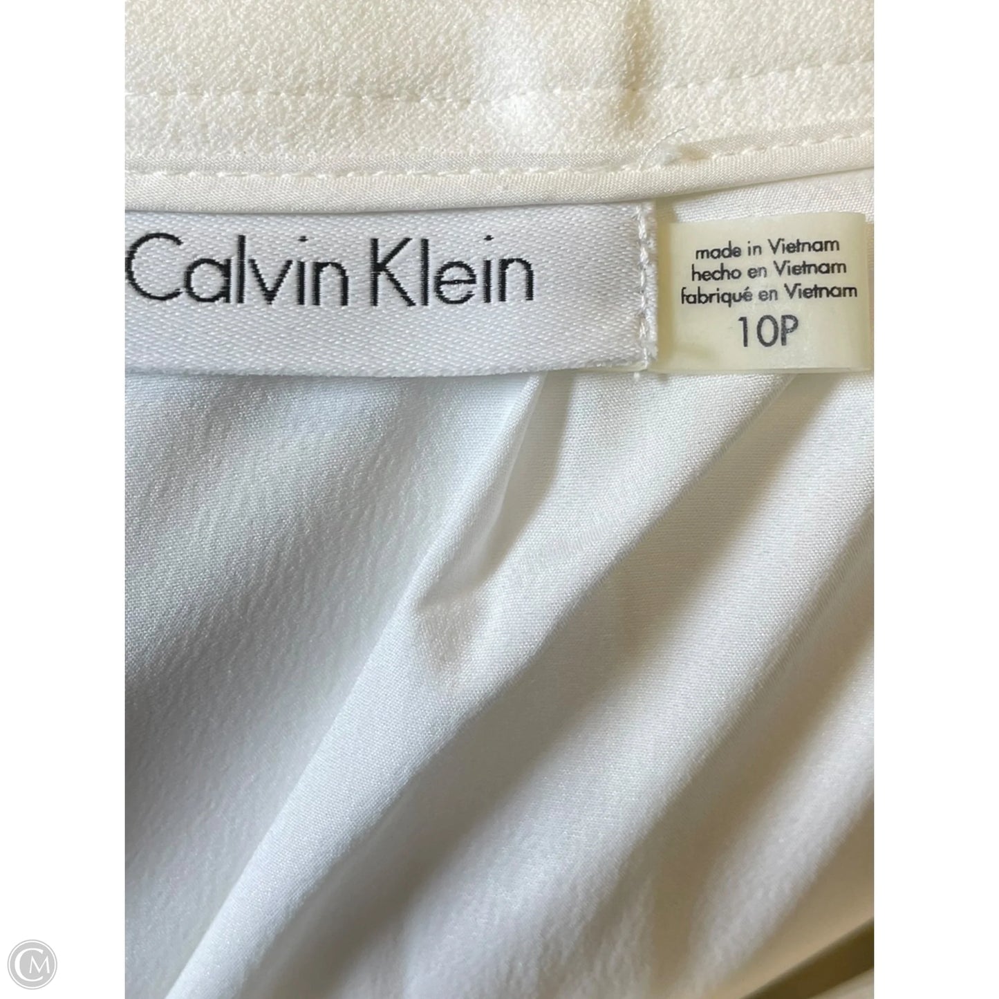Skirt Maxi By Calvin Klein In White, Size: 10