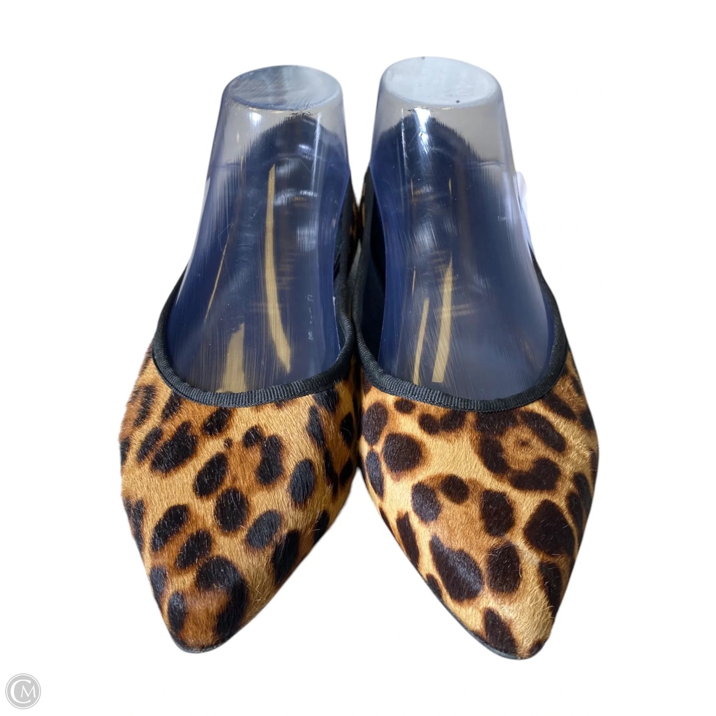 Shoes Flats By Clothes Mentor In Animal Print, Size: 6.5