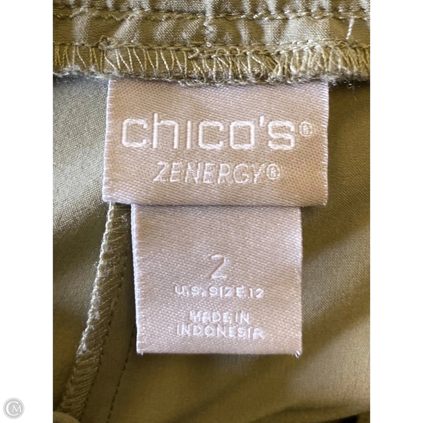 Pants Other By Chicos In Green, Size: L
