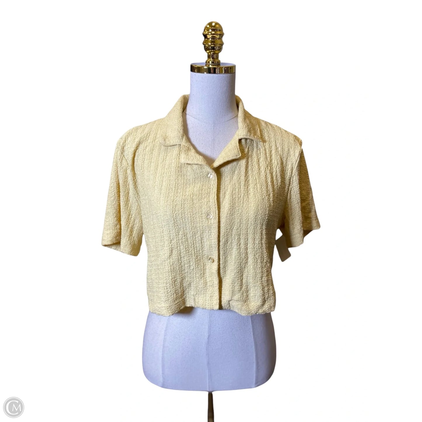 Pants Set 2pc By Clothes Mentor In Yellow, Size: M