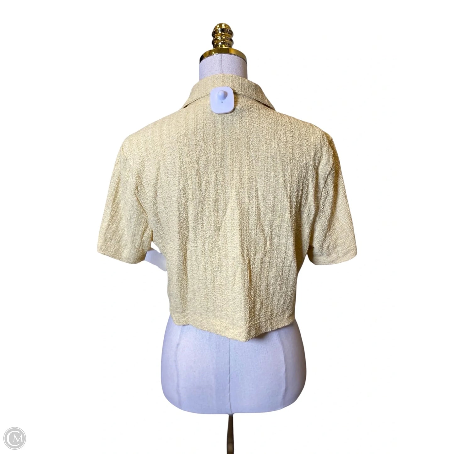 Pants Set 2pc By Clothes Mentor In Yellow, Size: M