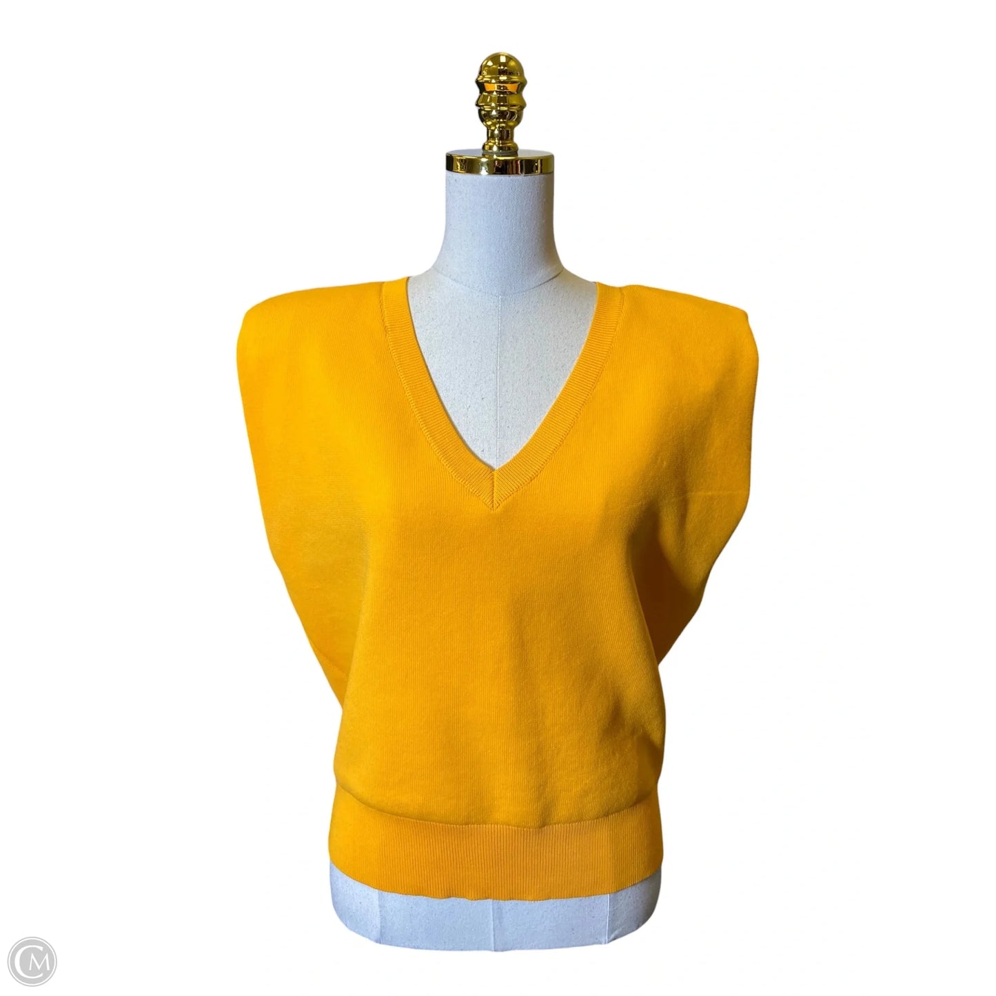 Vest Sweater By Express In Yellow, Size: M