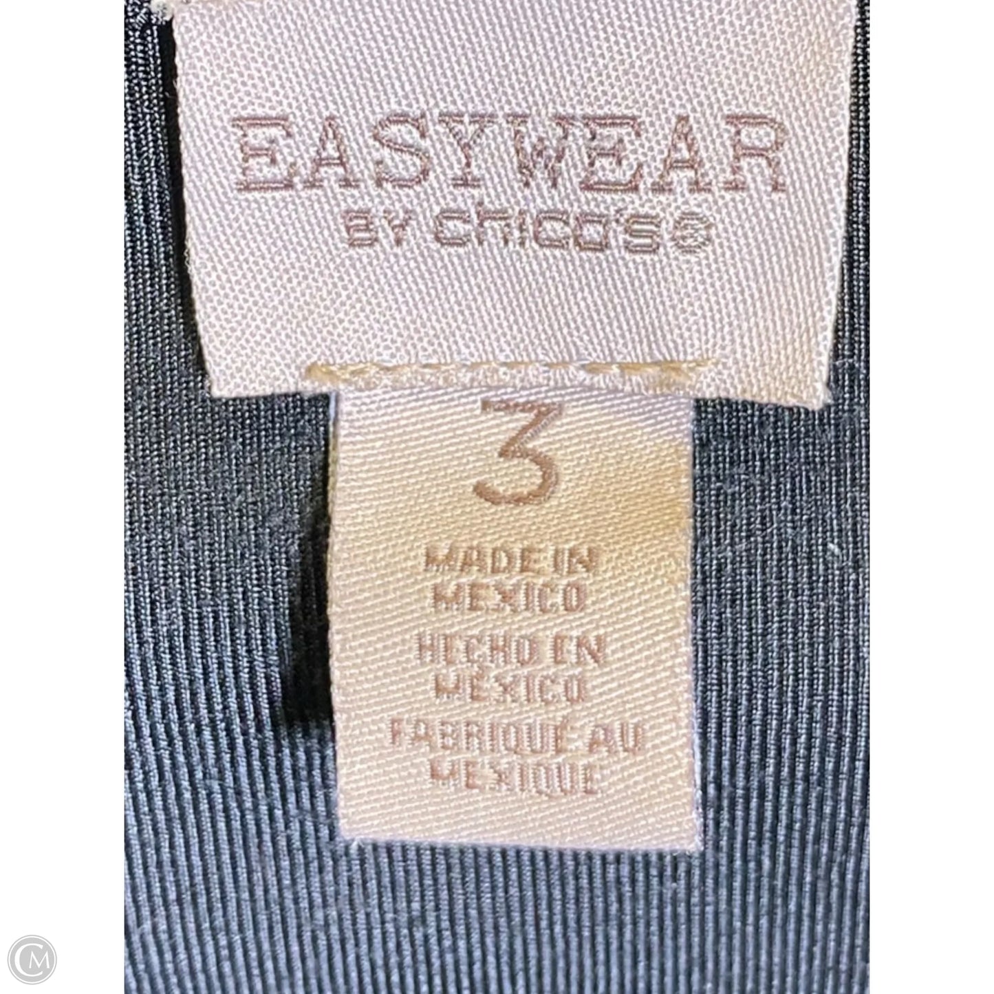 Blouse Long Sleeve By Easywear By Chicos In Black, Size: Xl