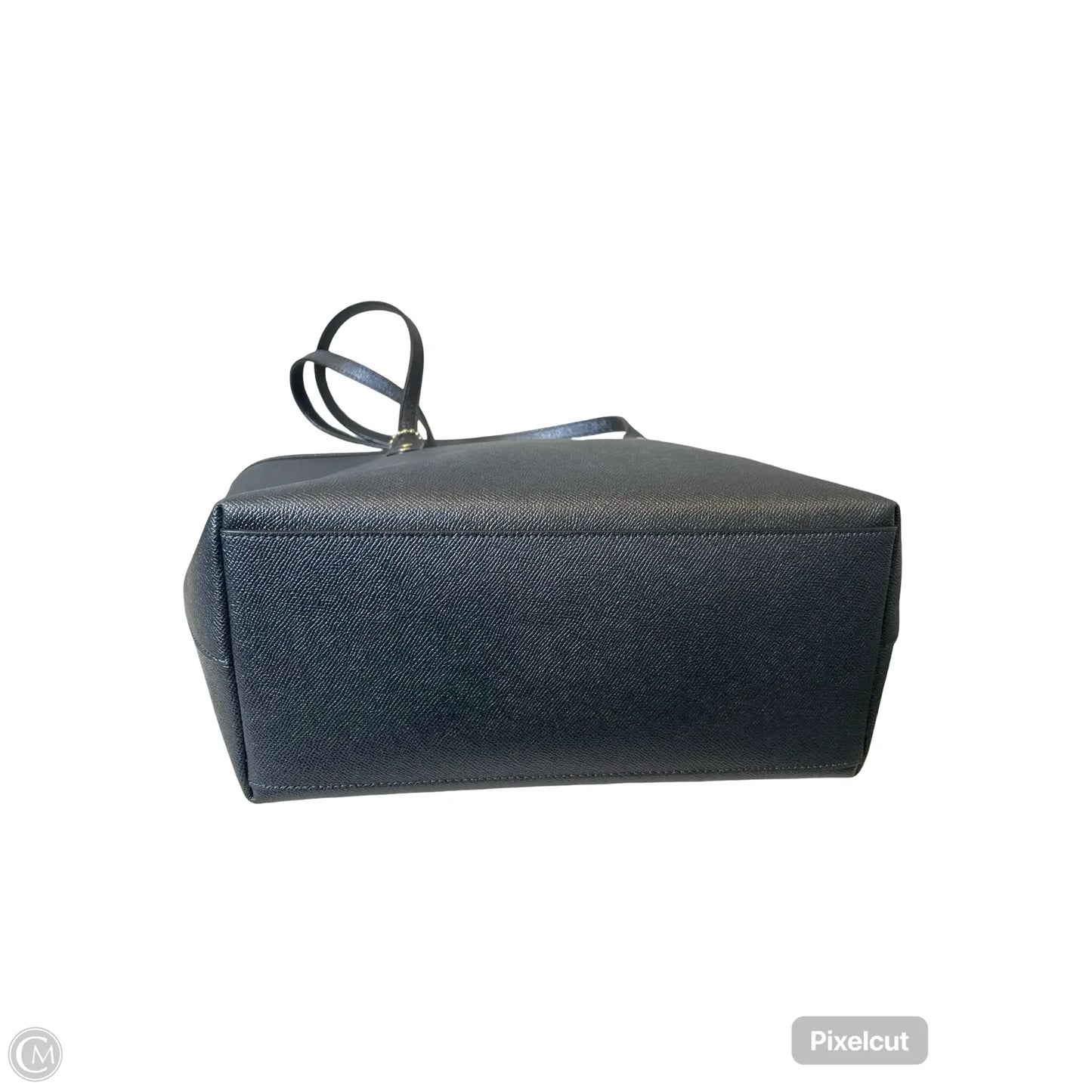 Handbag Designer By Coach, Size: Large