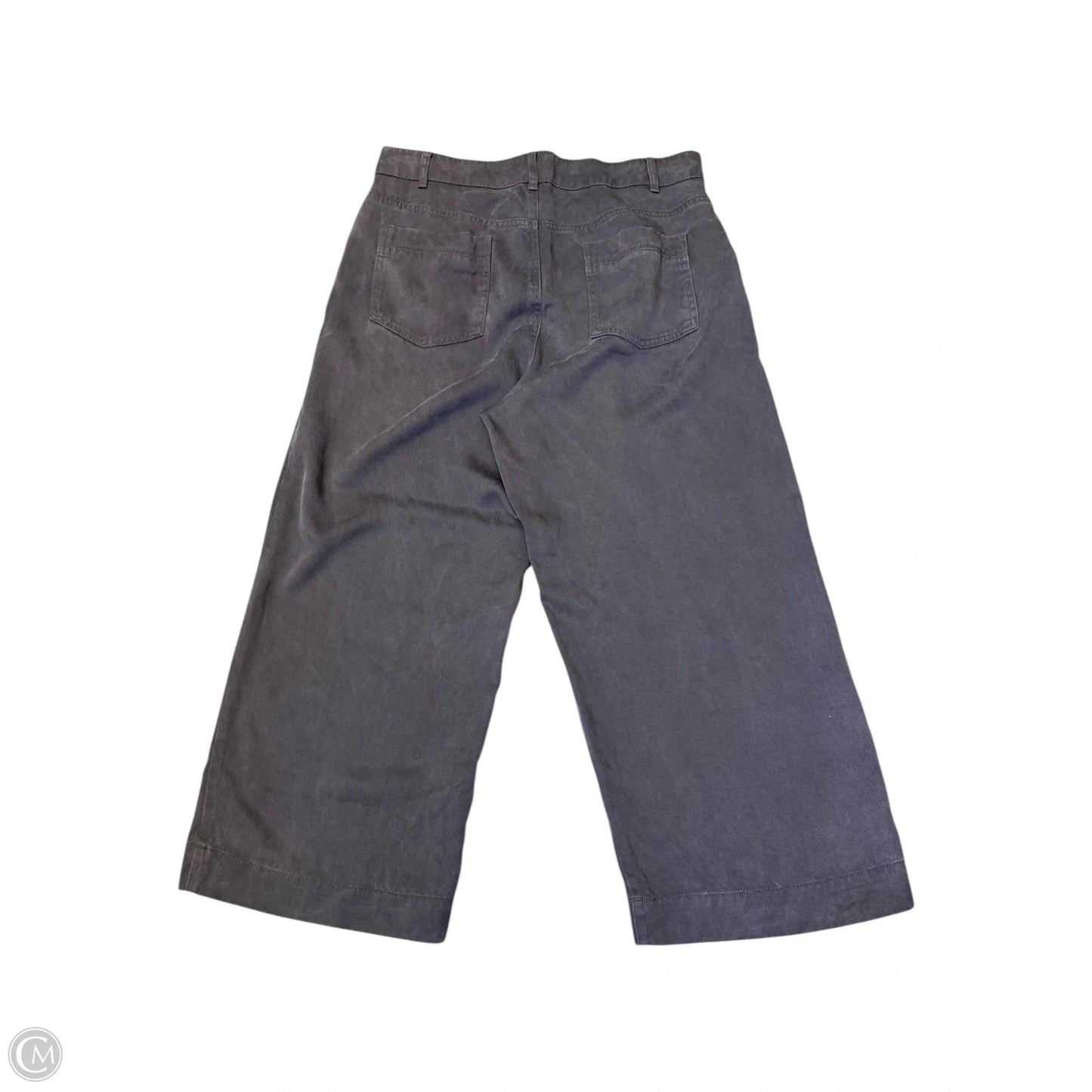 Pants Other By Joie In Grey, Size: 12