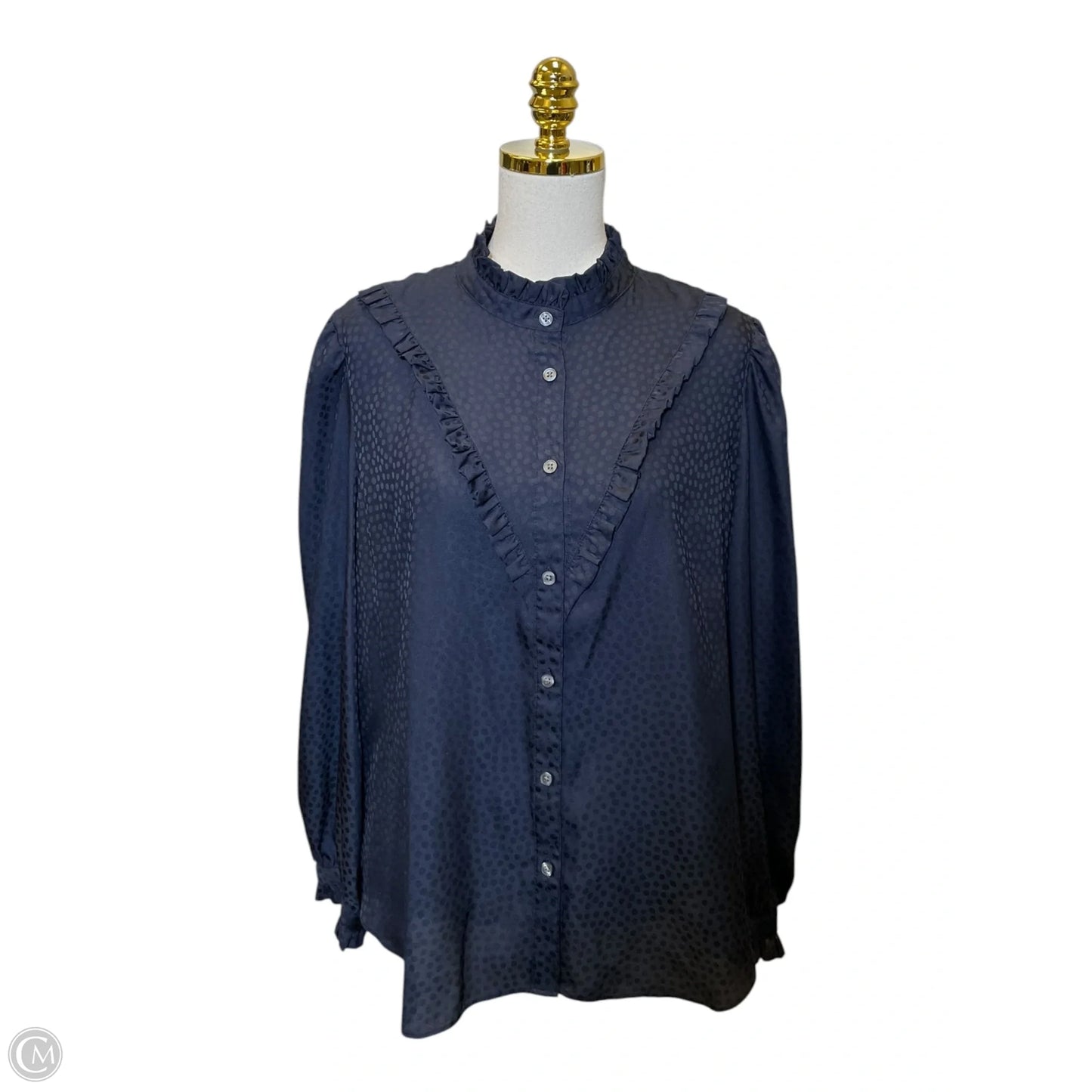 Top Long Sleeve By Ann Taylor In Blue, Size: Xl