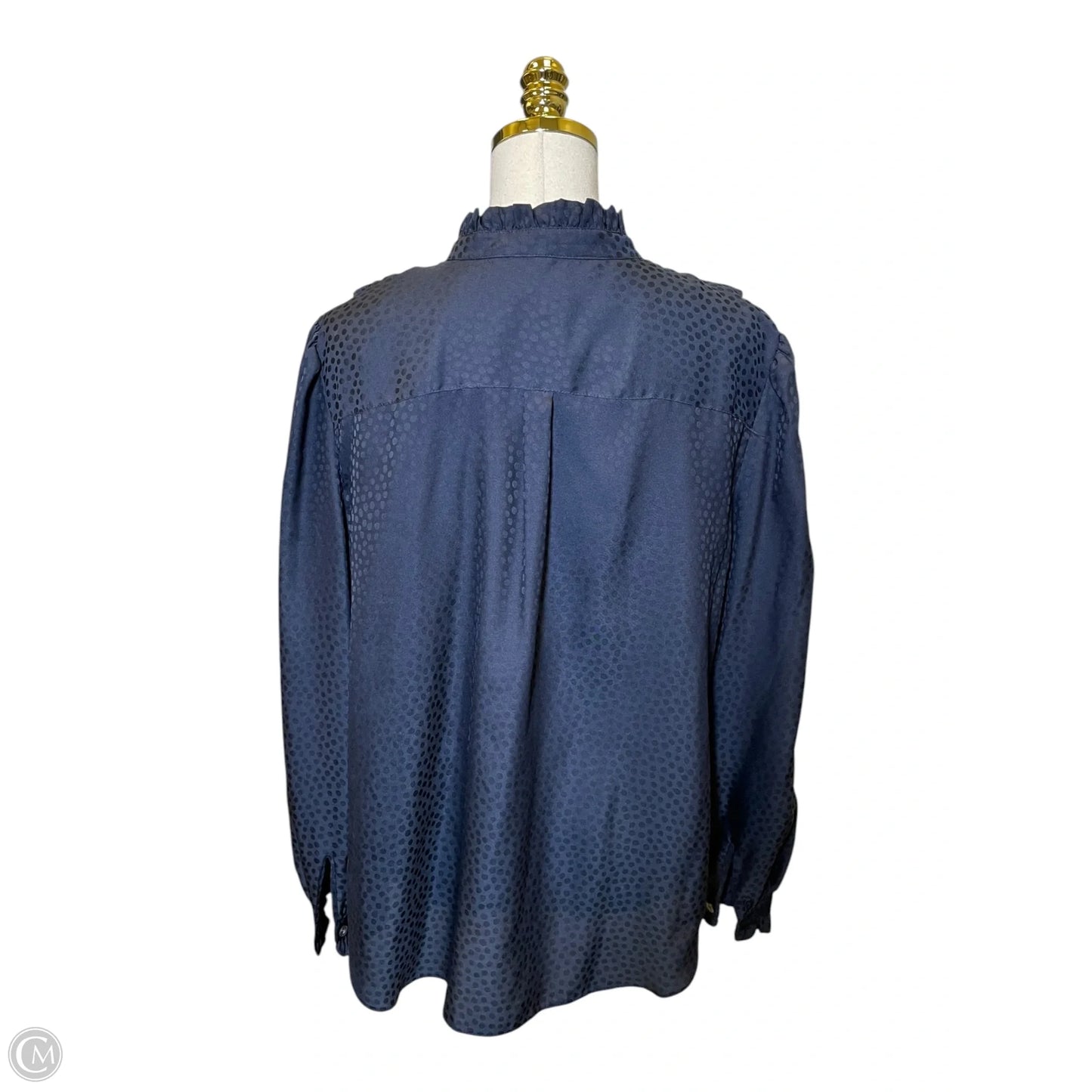 Top Long Sleeve By Ann Taylor In Blue, Size: Xl