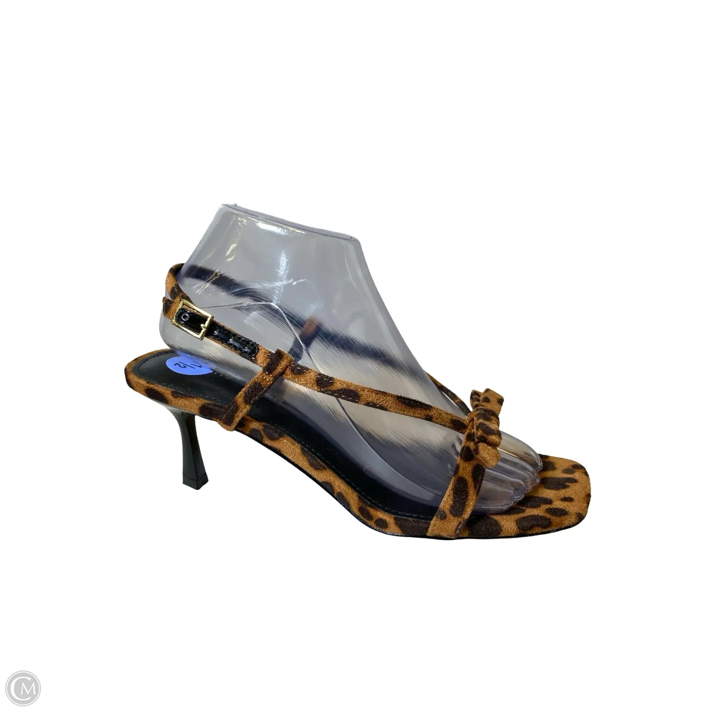 Shoes Heels Kitten By Marc Fisher In Animal Print, Size: 7.5