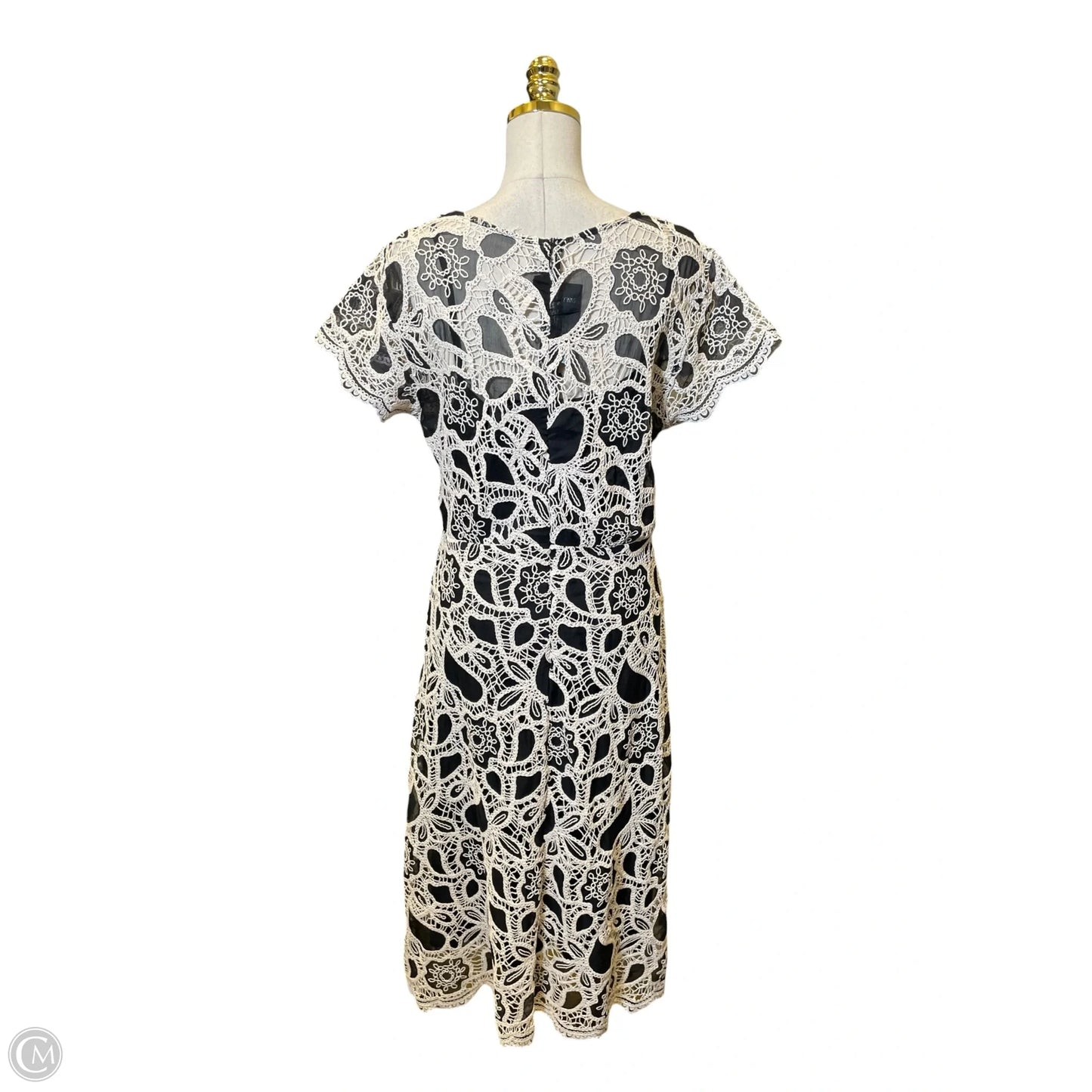 Dress Casual Maxi By Johnny Was In Black & White, Size: L