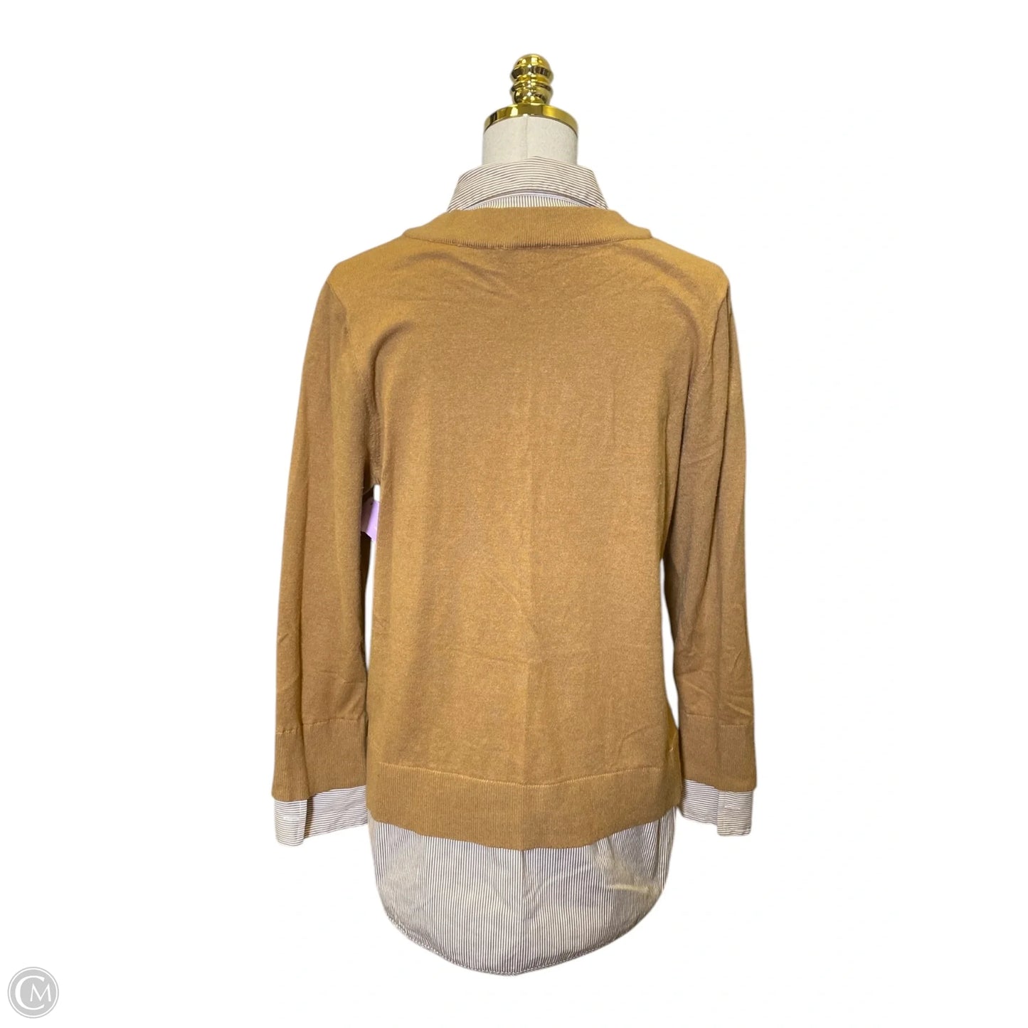 Top Long Sleeve By Chicos In Brown, Size: L