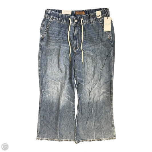 Pants Other By Judy Blue In Blue Denim, Size: 10