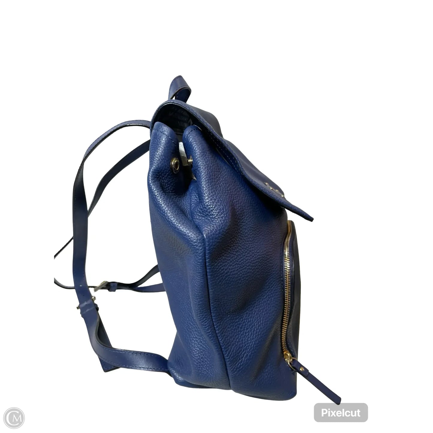 Backpack Designer By Kate Spade, Size: Large