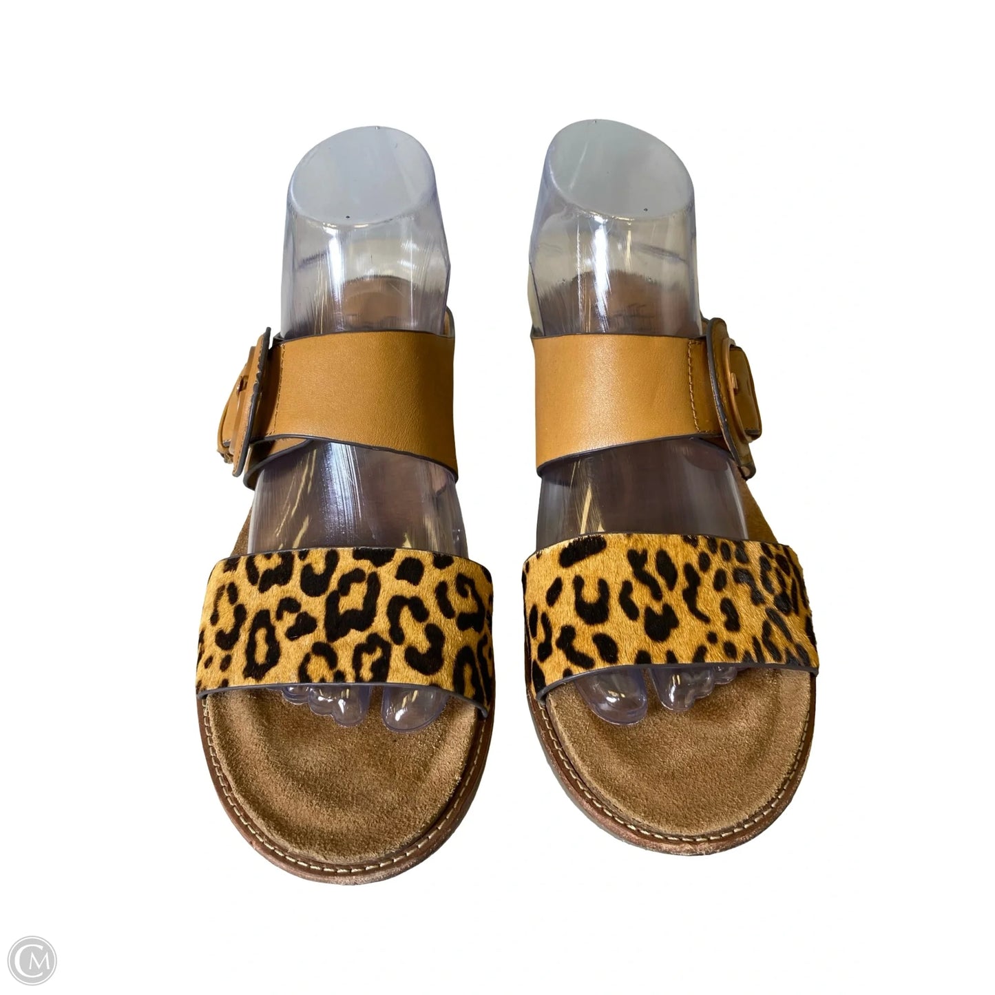 Shoes Flats By Sofft In Animal Print, Size: 8
