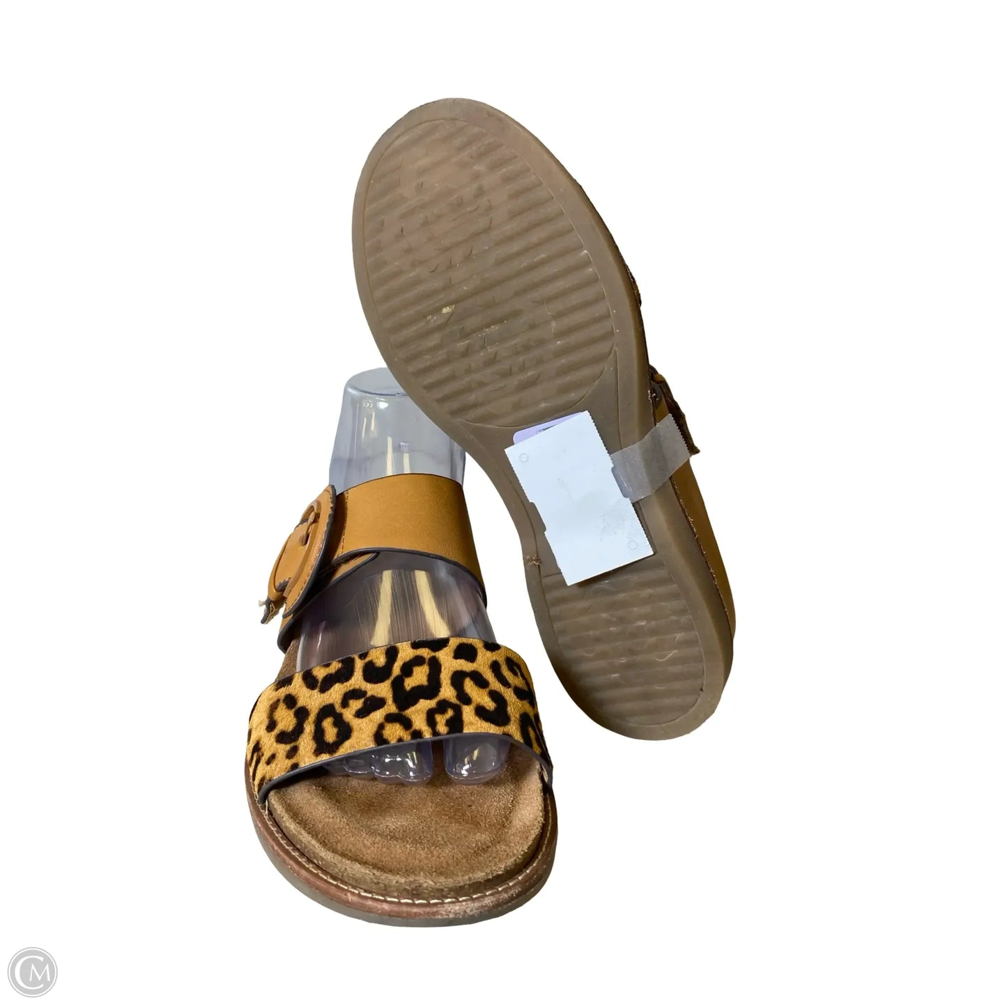 Shoes Flats By Sofft In Animal Print, Size: 8