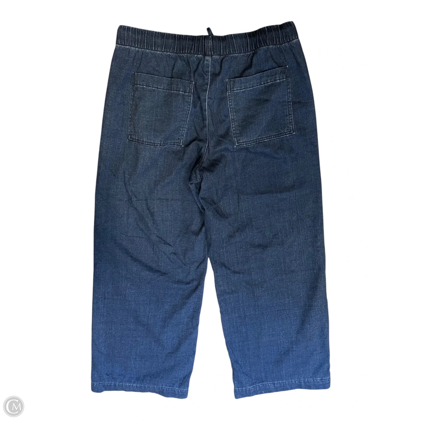 Pants Other By American Eagle In Blue, Size: M