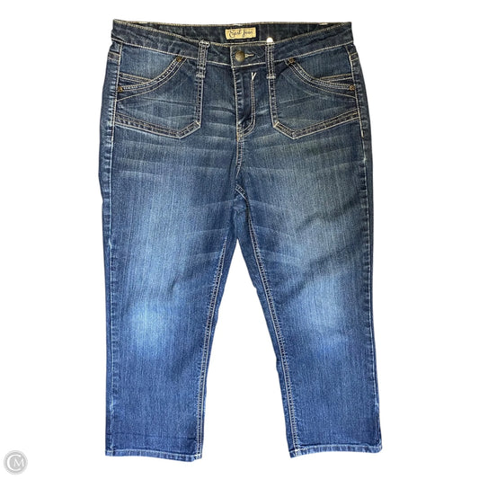 Jeans Straight By Earl Jean In Blue Denim, Size: 10