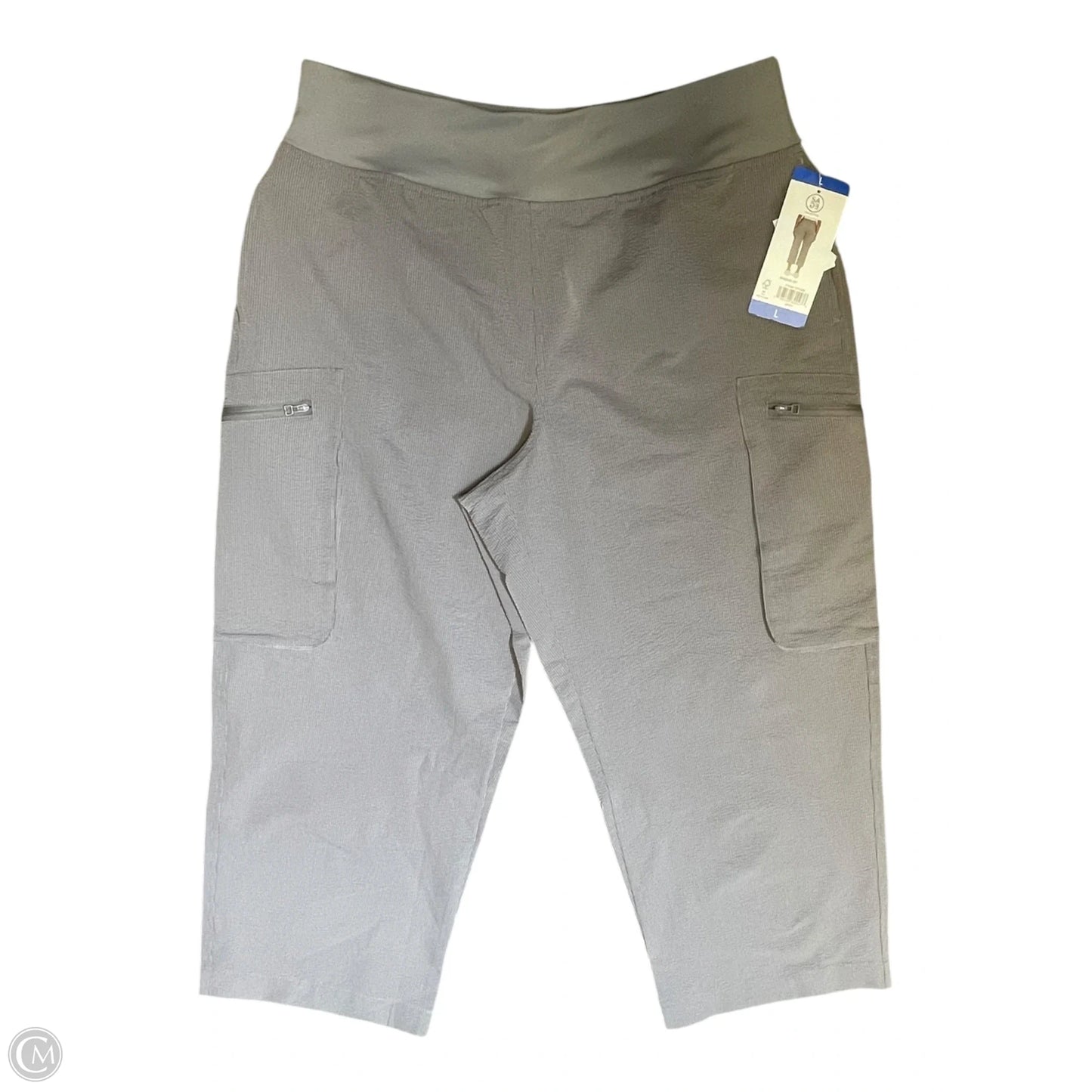 Pants Other By Sage In Grey, Size: L
